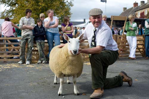 sheep fairs are natural in