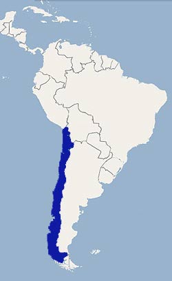 map-of-Chile