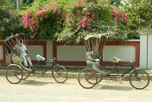 Cycle Rickshaw In Varanasi - Ecard