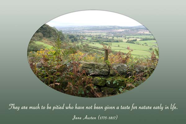 photo of English countryside with Jane Austen quote about nature