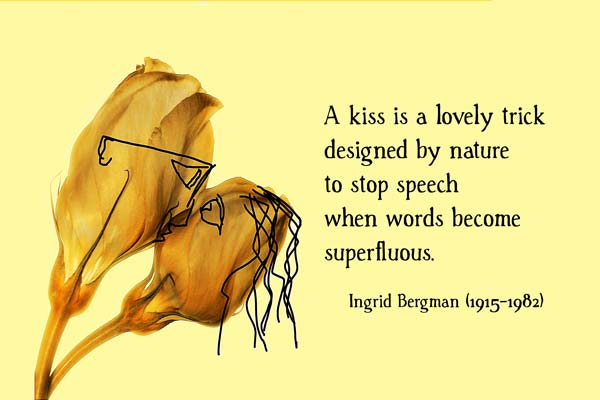 Two flower heads kissing with a quote by Ingrid Bergman that a kiss is a lovely trick designed by nature...