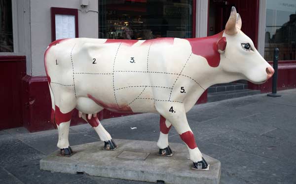 cuts of beef marked on life-size cow