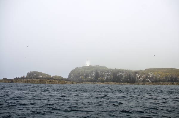 The Isle Of May In The Fog