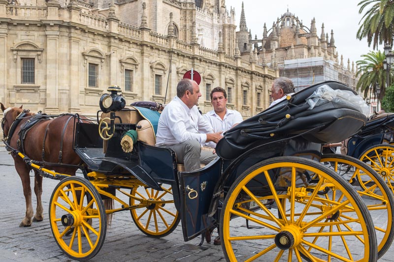 horse and carriage in front of the cathedral in Seville, Spain